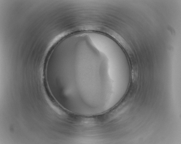 X0000115600438200911241558