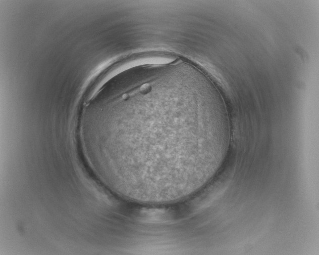 X0000115600440200911241558