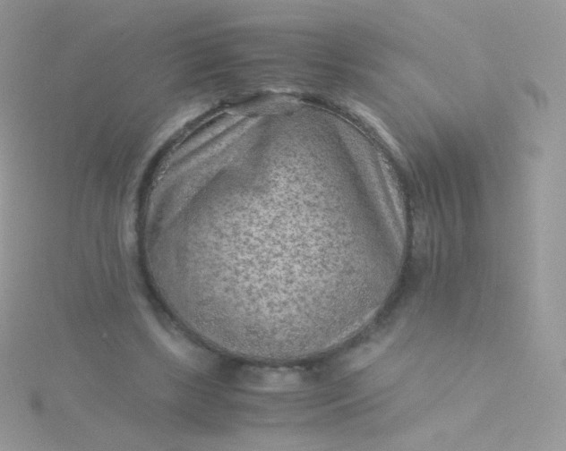 X0000115600443200911241558