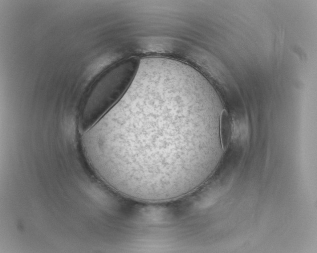 X0000115600444200911241558