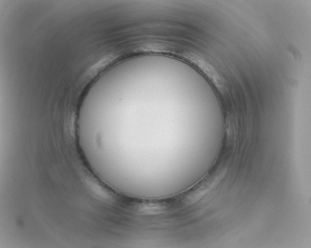 X0000115600445200911241558