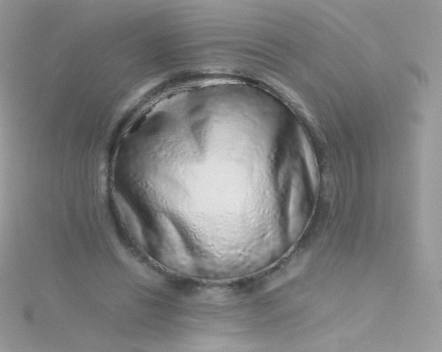 X0000115600446200911241558