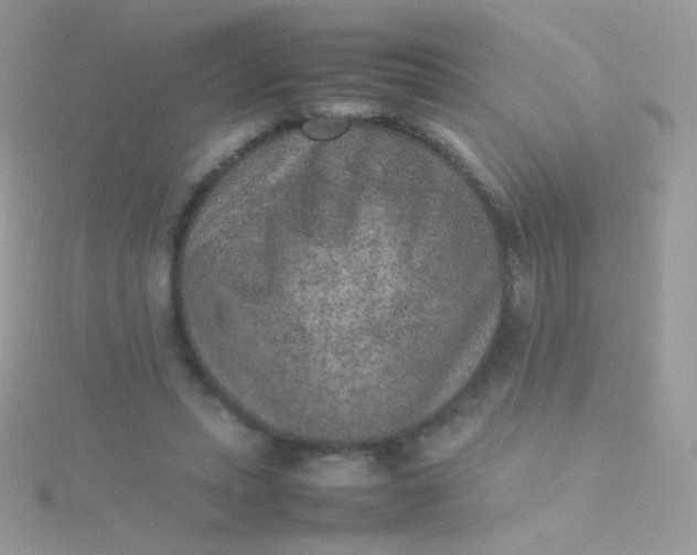 X0000115600447200911241558