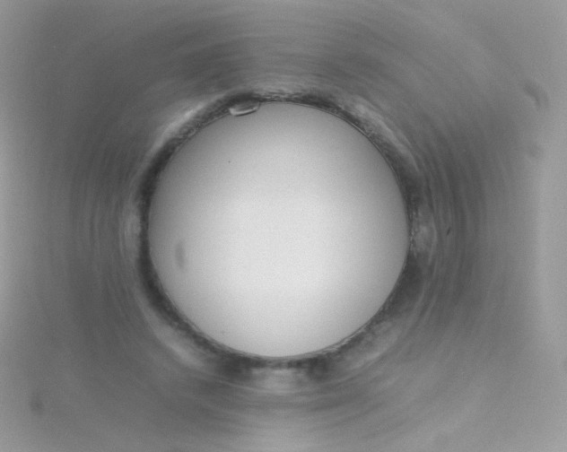 X0000115600448200911241558