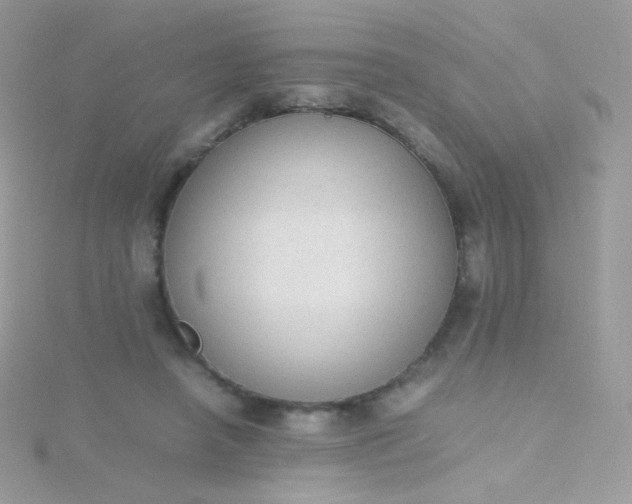 X0000115600450200911241558