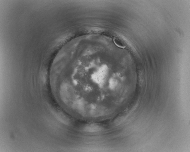 X0000115600451200911241558