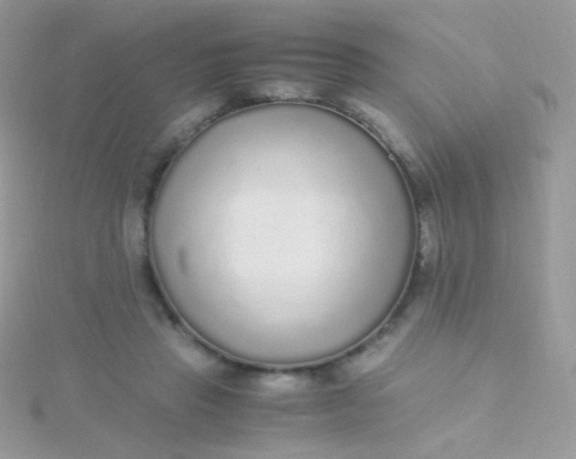 X0000115600453200911241558