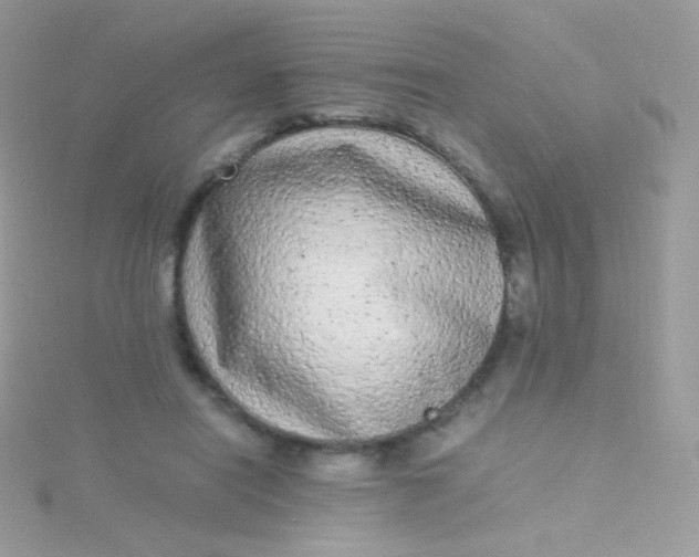 X0000115600454200911241558