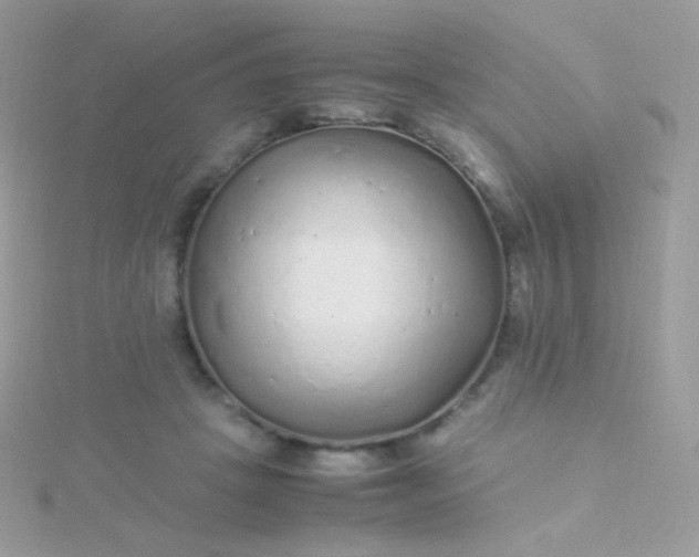 X0000115600457200911241558