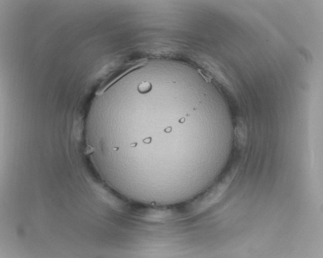 X0000115600458200911241558