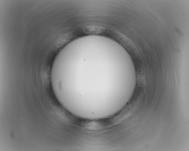 X0000115600460200911241558