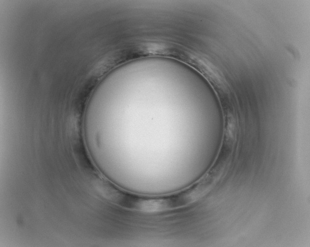 X0000115600461200911241558