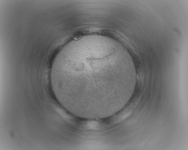 X0000115600462200911241558