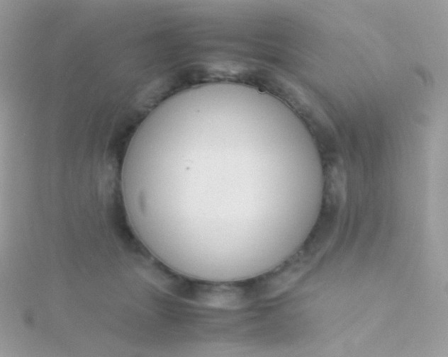 X0000115600463200911241558