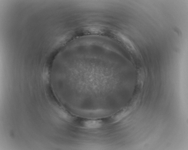 X0000115600465200911241558