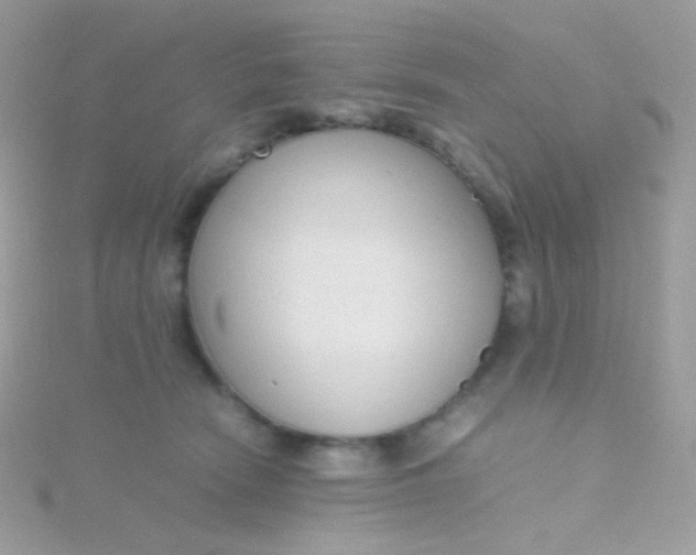 X0000115600466200911241558