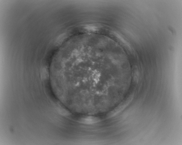 X0000115600467200911241558