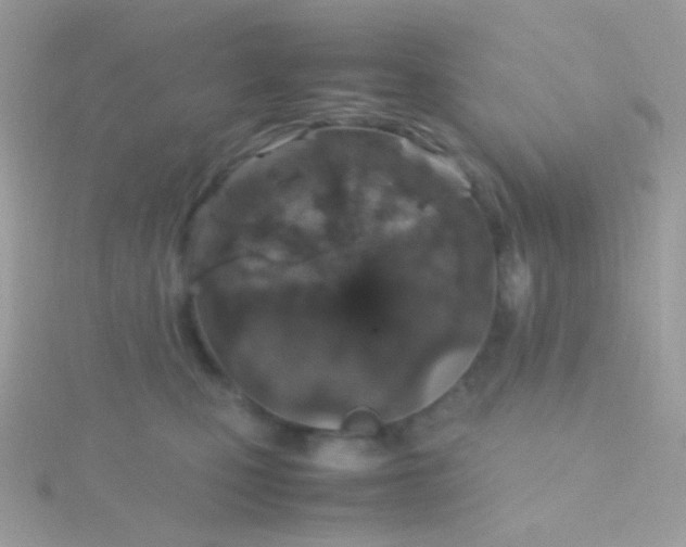 X0000115600471200911241558