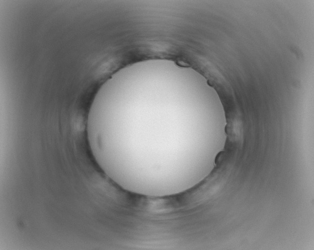 X0000115600472200911241558