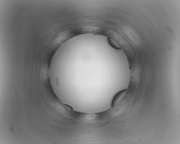 X0000115600474200911241558