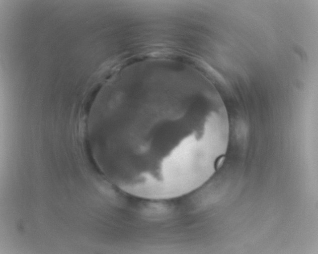 X0000115600475200911241558