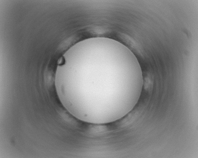 X0000115600476200911241558