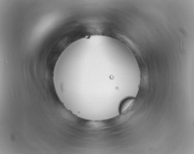 X0000115600477200911241558