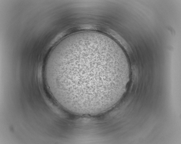 X0000115600482200911241558