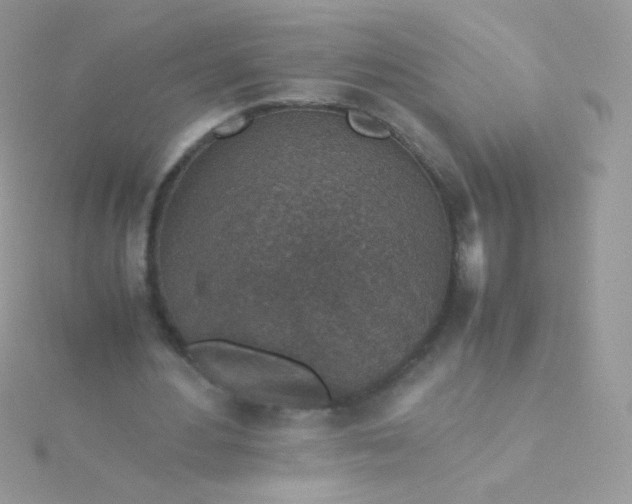 X0000115600484200911241558