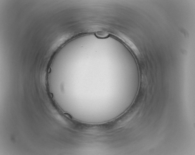 X0000115600485200911241558