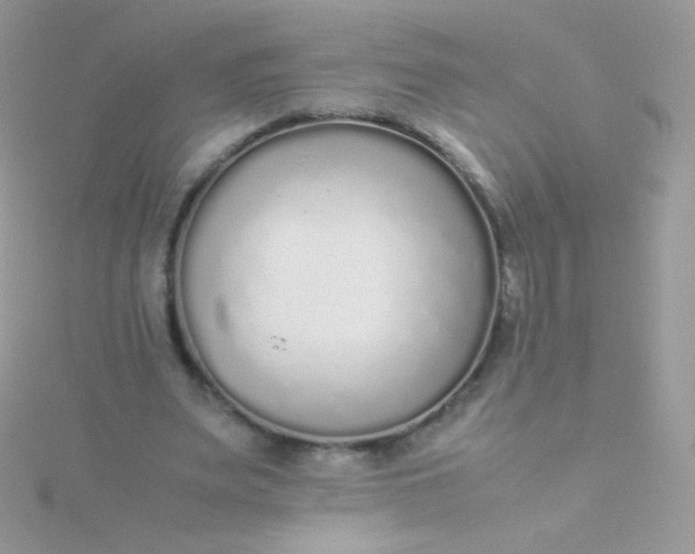 X0000115600487200911241558