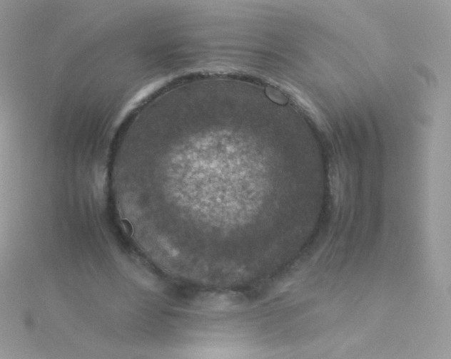 X0000115600488200911241558