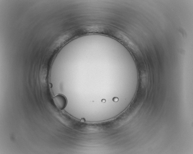 X0000115600490200911241558