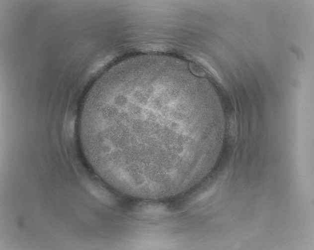 X0000115600491200911241558