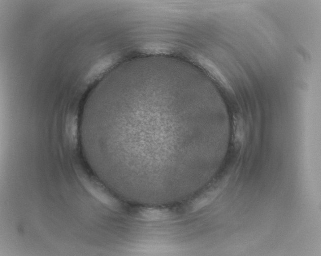 X0000115600494200911241558