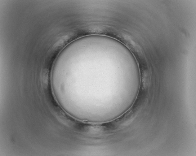 X0000115600495200911241558