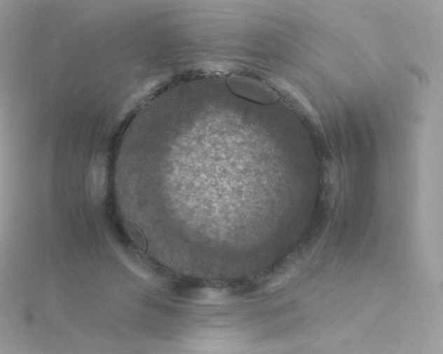 X0000115600496200911241558