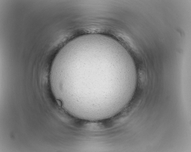 X0000115600499200911241558