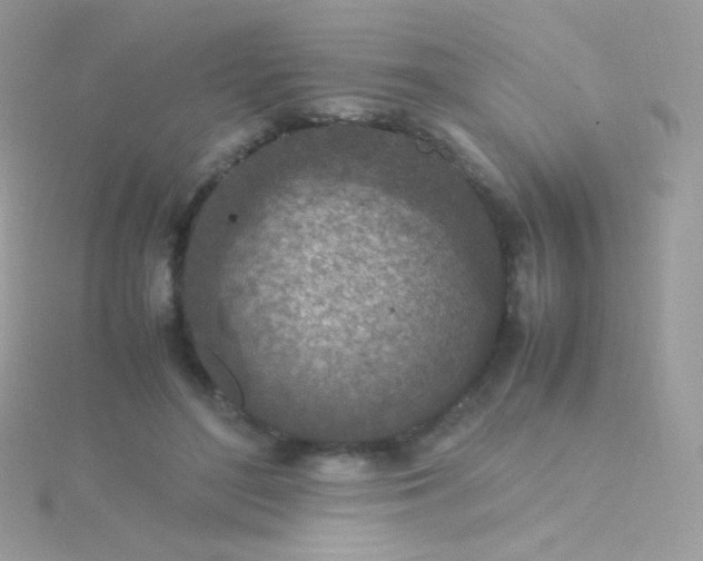 X0000115600500200911241558