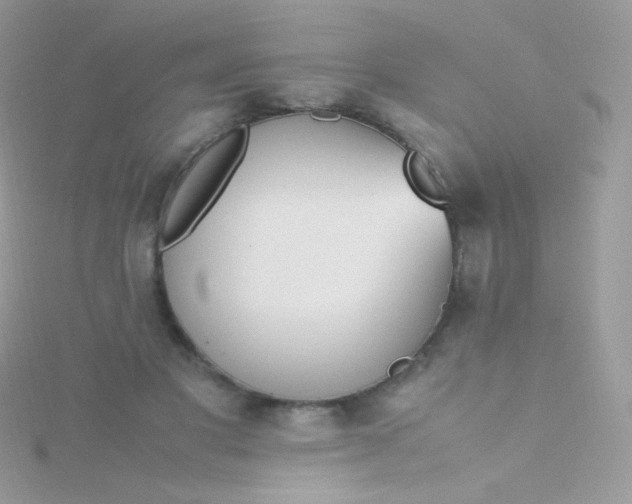 X0000115600501200911241558