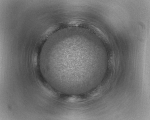 X0000115600504200911241557