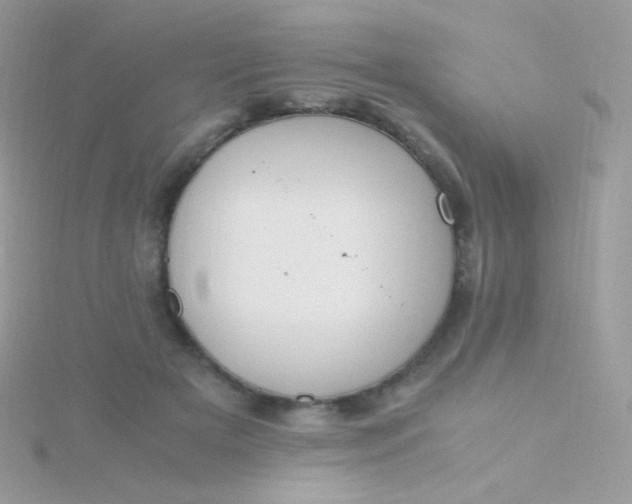 X0000115600505200911241557