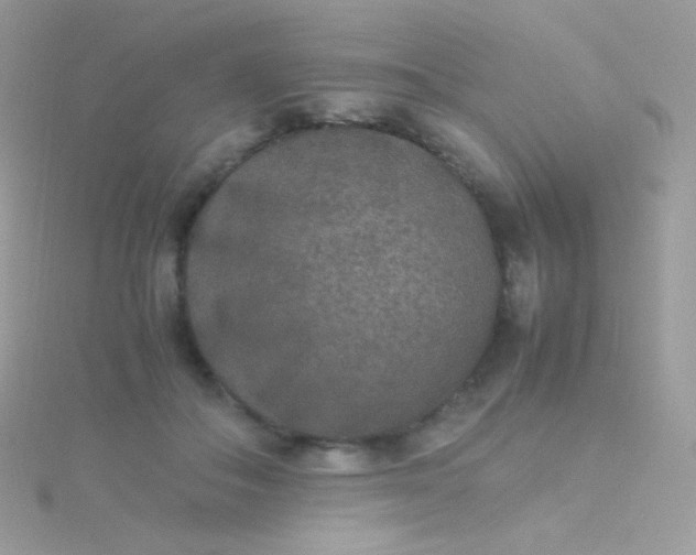 X0000115600506200911241557