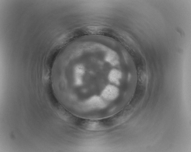 X0000115600507200911241557