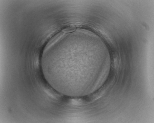 X0000115600508200911241557