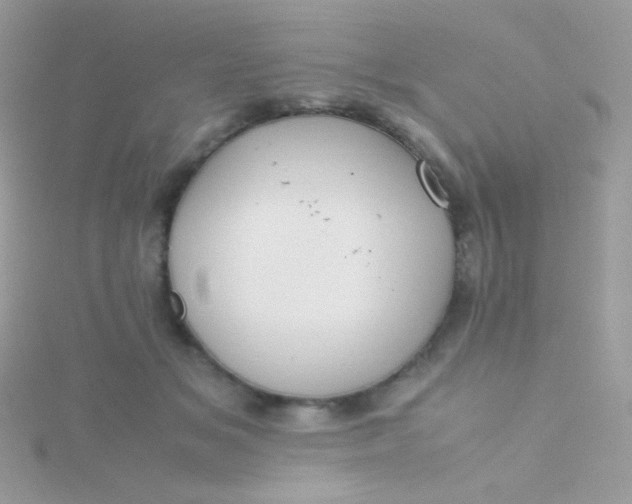 X0000115600509200911241557