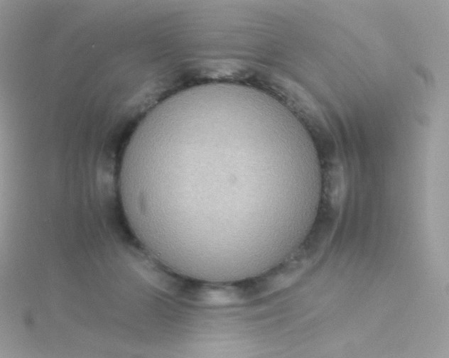 X0000115600510200911241557