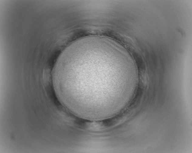 X0000115600511200911241557