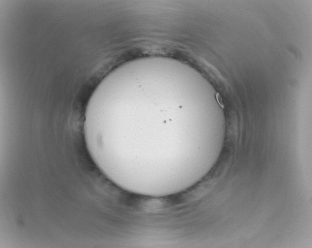 X0000115600513200911241557