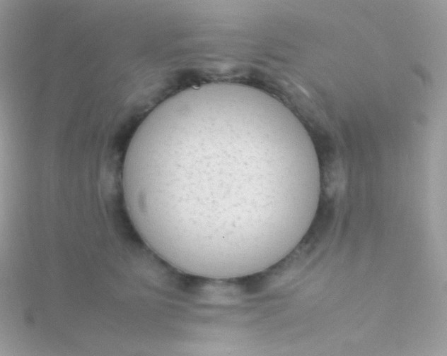 X0000115600515200911241557